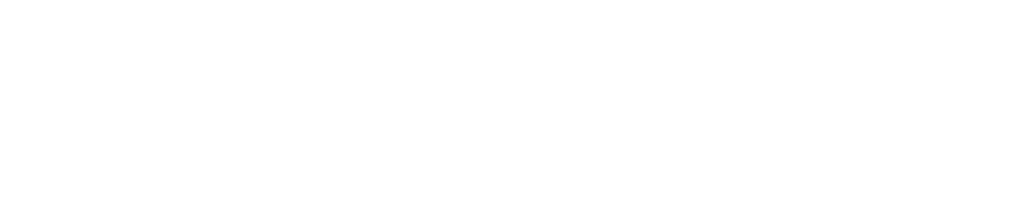 DPS logo for footer