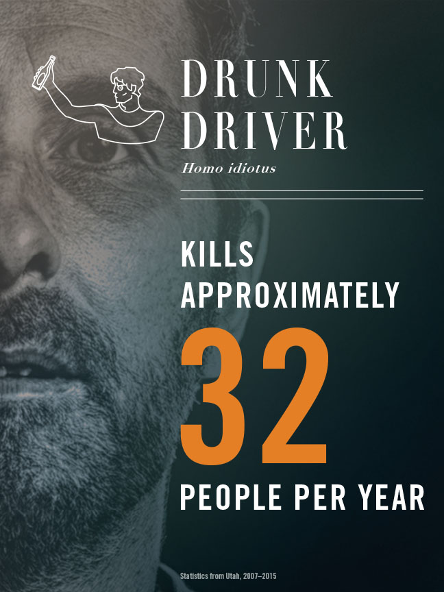 Drunk Driver - kills approximately 32 people per year